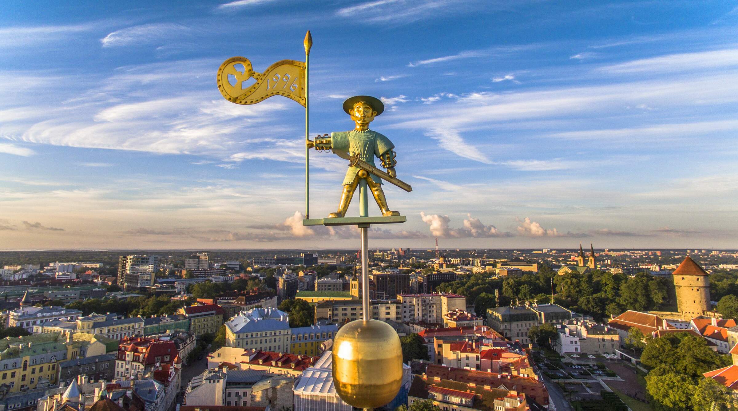 Vana Toomase portree