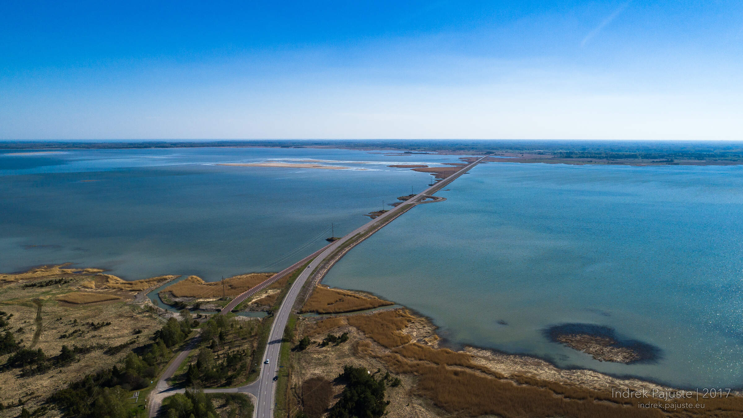 Väikese väina tamm