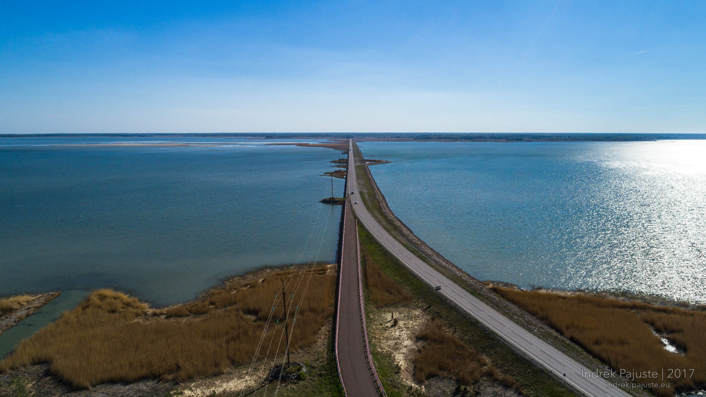 Väikese väina tamm