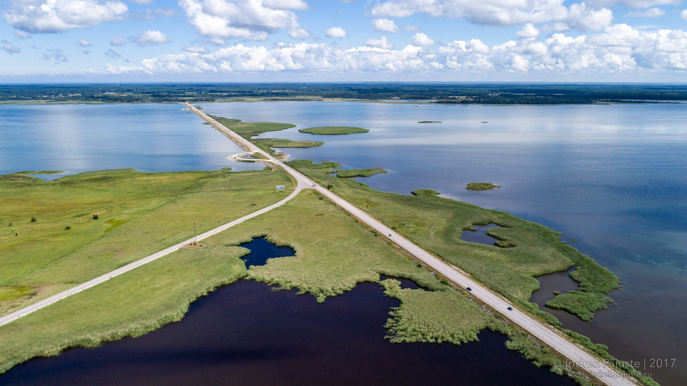Väikese väina tamm